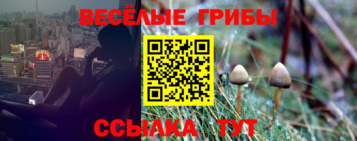 Галлюциногенные грибы мицелий  Вход с VPN  Волгоград 
